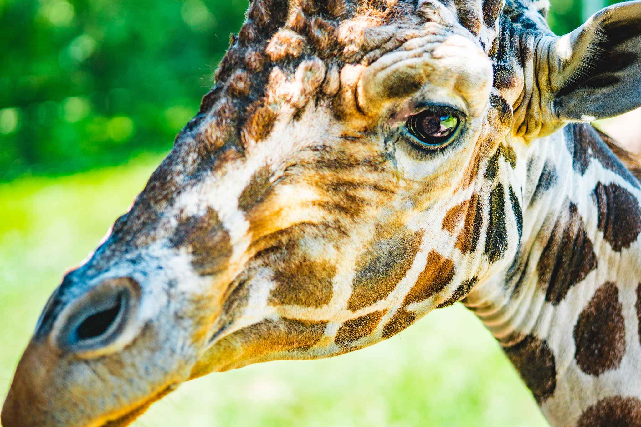 dustin-keeslar-portfolio-photography-fort-wayne-indiana-childrens-zoo4 dustin-keeslar-portfolio-photography-fort-wayne-indiana-childrens-zoo4