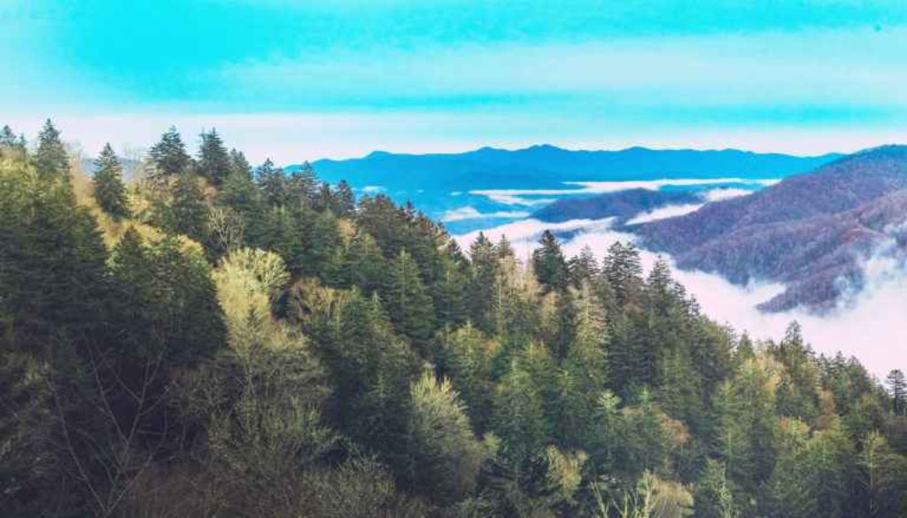 Tenessee-1282-Pano